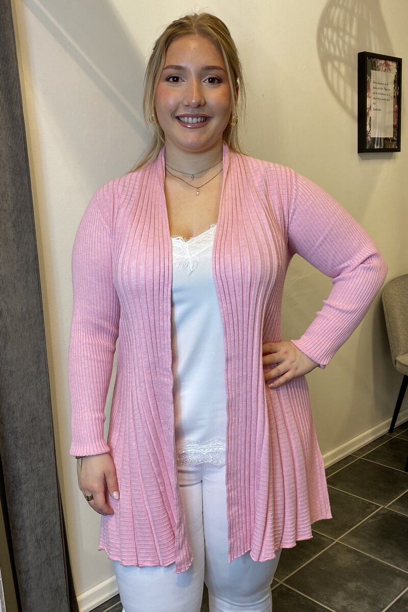 Claudisse Long Cardigan Dam Lilac Sachet Melange Freequent