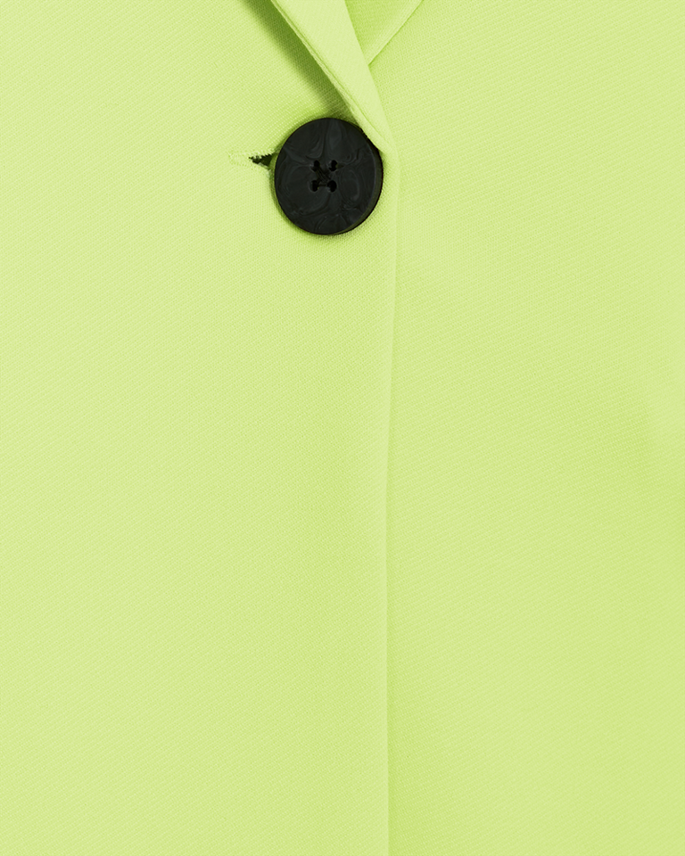 Nanni Fashion Blazer Sharp Green Dam Freequent