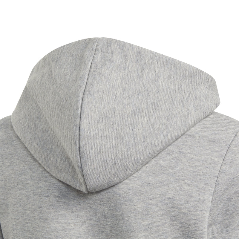 Linear Full-Zip Hoodie Junior Gray Adidas