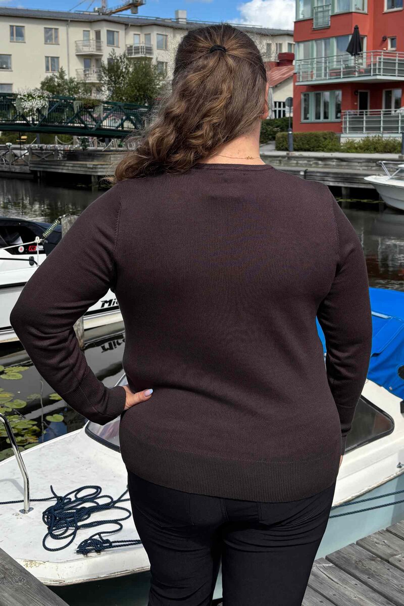 Carrie V-neck Pullover Women Brown Micha